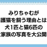 mirichamu