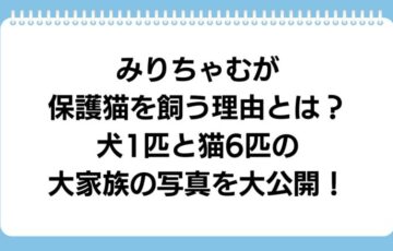 mirichamu