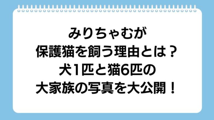 mirichamu